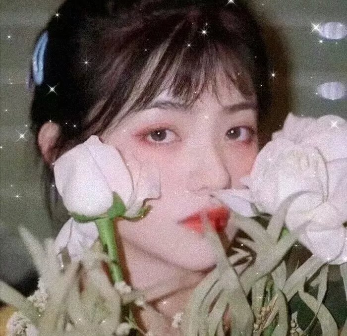 进击的皇后第二部