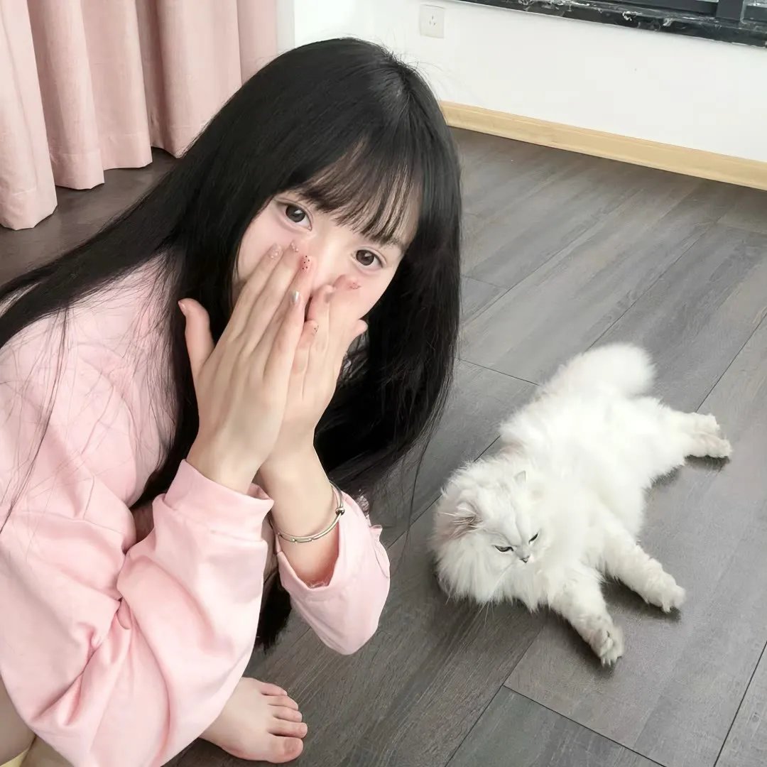 娇凤三姐妹